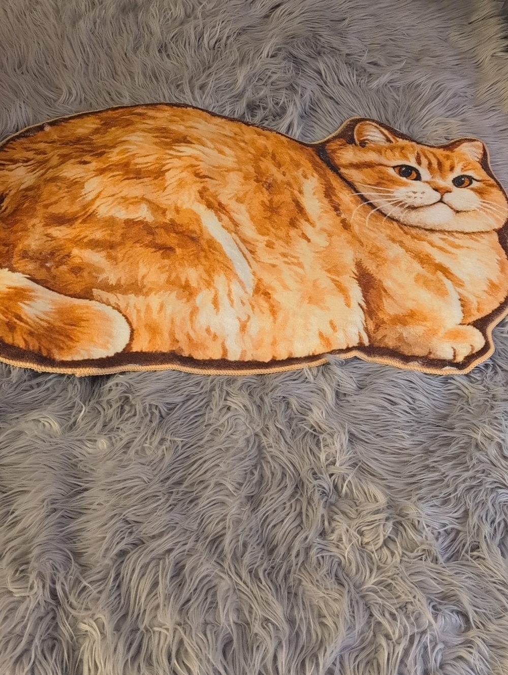 New Kitty Cat Rugs